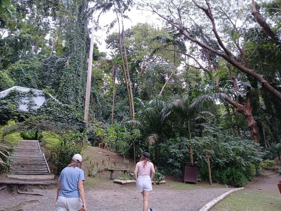 FIJI: Garden of the Sleeping Giant Tour - Practical tips for a smoother visit