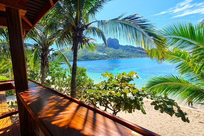Fiji Island Cultural Experience with Lunch - Medicinal plants and Fijian cooking