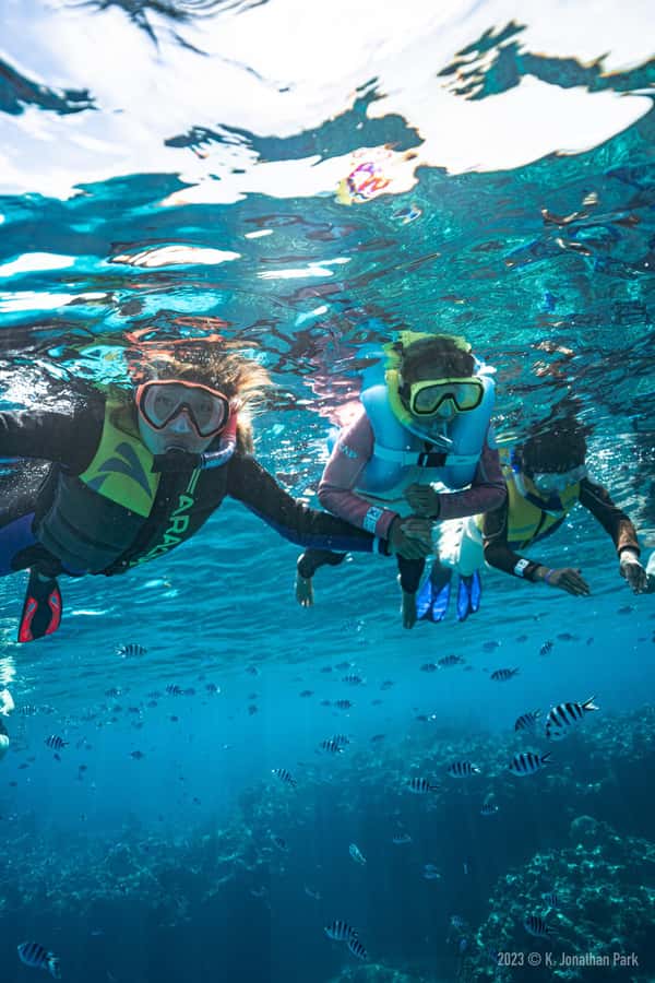 Fiji: Kuata Island Marine Conservation Experience Full Day - Exploring the intertidal zone at low tide