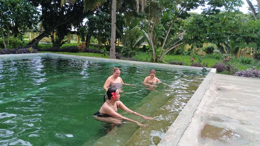 FIJI-NADI: Sabeto Tifajek Hot Spring and Mudpool Tour - Why this Nadi mud pool trip is worth considering