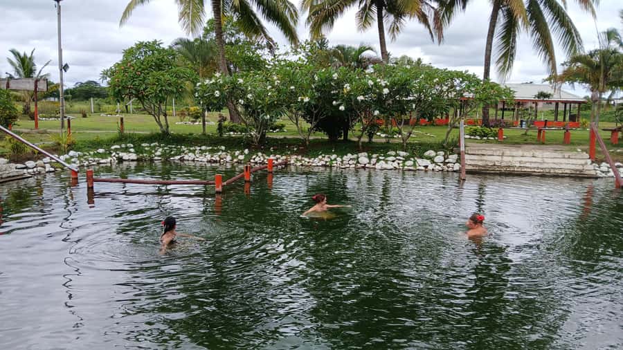 FIJI-NADI: Sabeto Tifajek Hot Spring and Mudpool Tour - Should you book Sabeto Tifajek?