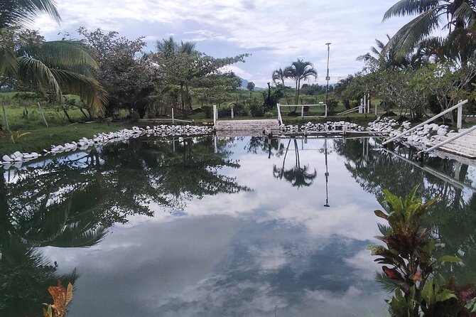 FIJI: Official Tifajek Mud Pool and Hot Spring Tour - The scenic drive from Denarau Island