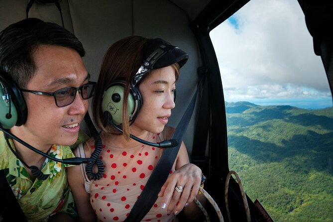 Fiji Private Helicopter Tour Sleeping Giant and Koroyanitu Heritage Park - Weather, cancellations, and practical limits