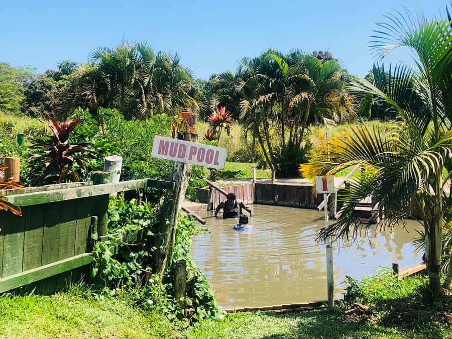 FIJI: Sabeto Hotspring & Mudpool Tours, Tickets & Transfers - Key points to know before you go