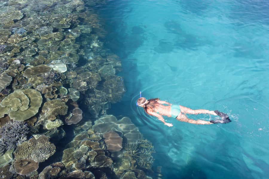 Fiji: South Sea Island Combo Half Day Trip Lunch & Drinks - Lunch with Fijian performance and included drinks