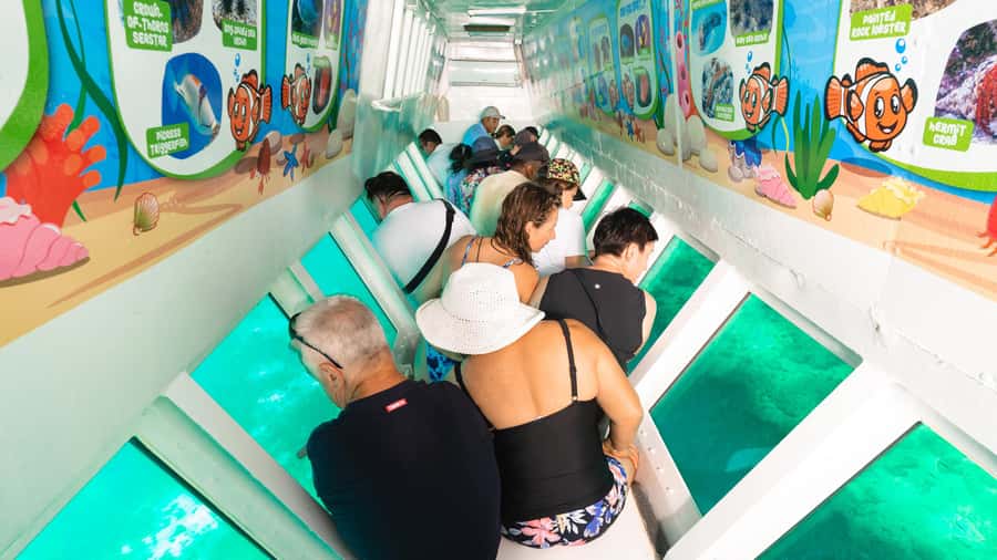 Fiji: South Sea Island Finding Nemo ex Port Denarau - Practical Tips for a Smoother Morning