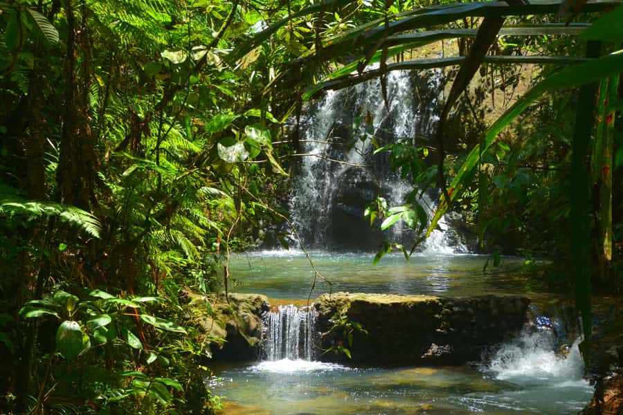 Fiji: Suva Village Tour - Who will enjoy this Suva experience?