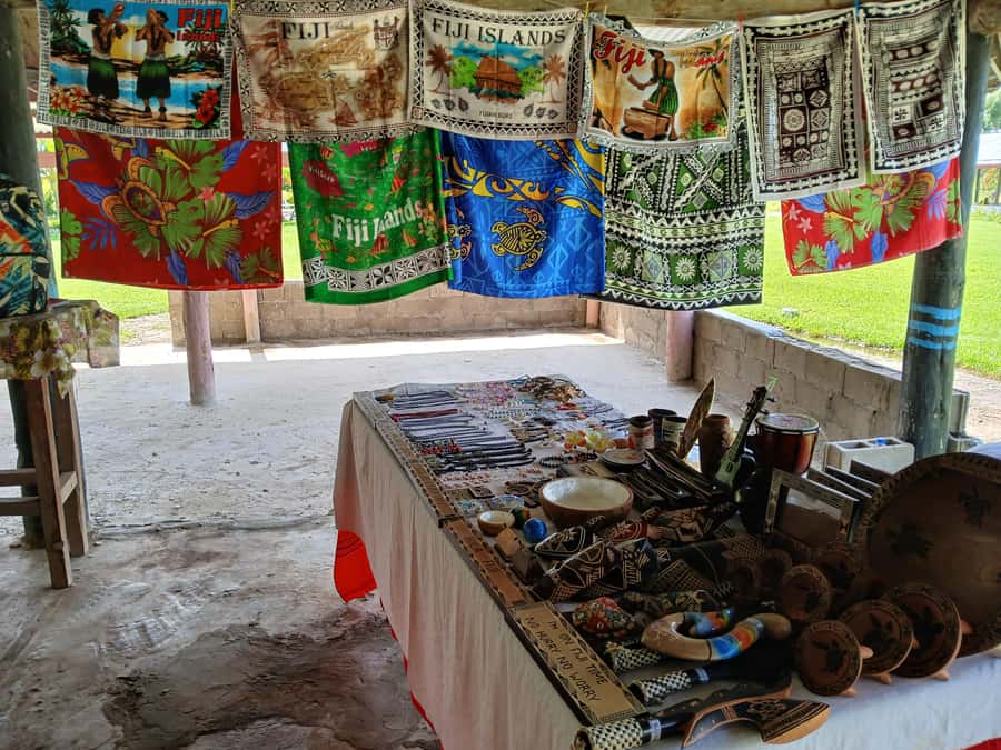 Fiji: Tifajek Mud Pool & Hotspring Tours & Tickets - What to pack for a comfortable visit