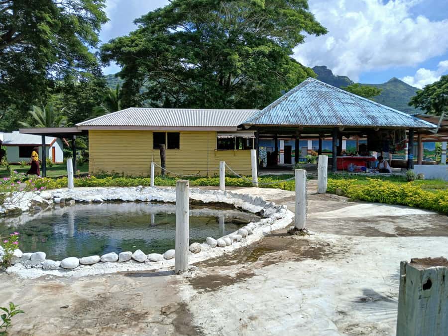 Fiji: Tifajek Mud Pool & Hotspring Tours & Tickets - Who will enjoy Tifajek most?