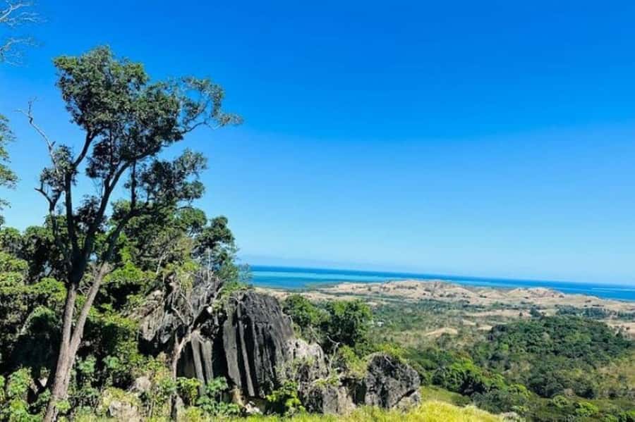 Fiji: Zipline Adventure and Cave Exploration - Who should book this Fiji adventure?