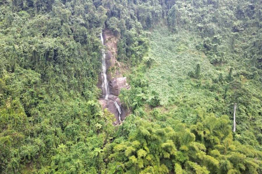 Fijian Adventure Rafting, waterfall, Village Tour with Lunch - Bamboo rafting on gentle river currents