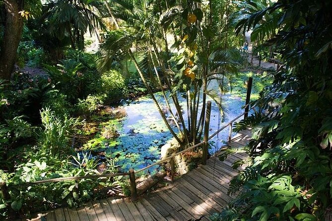 Full Day Discover Nadi Tour ( From Sigatoka Coral coast Hotels ) - Sabeto Hot Springs and the famous mud ritual