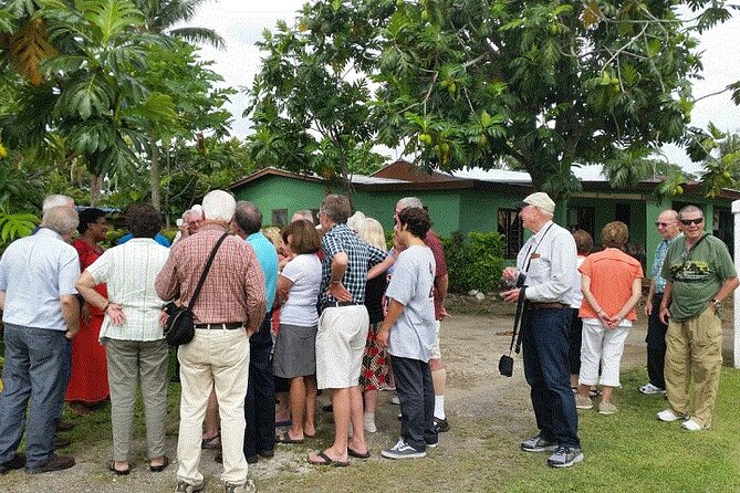 Full Day-Mudpools,Village,Temple,Sleeping Giant Gardens,Shopping Ex Coral Coast - Price, group size, and what you receive