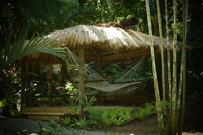 Full Day-Mudpools,Village,Temple,Sleeping Giant Gardens,Shopping Ex Coral Coast - Getting muddy at Sabeto Hot Springs