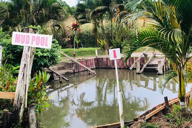 Garden Of Sleeping Giant ,Mudpool &Temple Tour From Coral Coast - Sabeto Hot Springs and Mud Pool: the messy finale