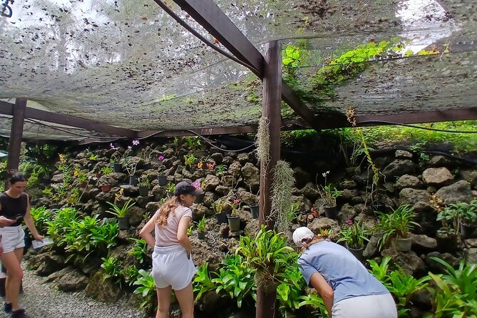 Garden of Sleeping Giant Tour with Tifajek Mud Pool and Hotspring - Key points to know before you book