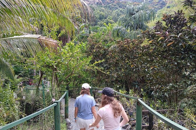 Garden of Sleeping Giant Tour with Tifajek Mud Pool and Hotspring - Is $56.44 a fair price?