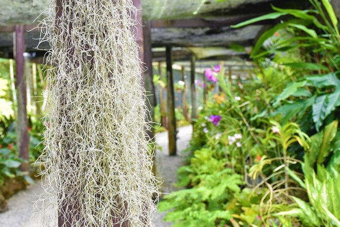 Garden of Sleeping Giant Tour with Tifajek Mud Pool and Hotspring - Booking tips that can prevent confusion