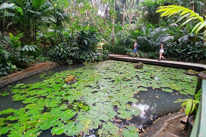 Garden of Sleeping Giant Tour with Tifajek Mud Pool and Hotspring - The Tifajek mud pool and hot spring ritual