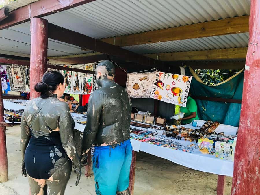 Garden of Sleeping Giant with Sabeto Hotspring Mudpool Tour - Key points to know before booking