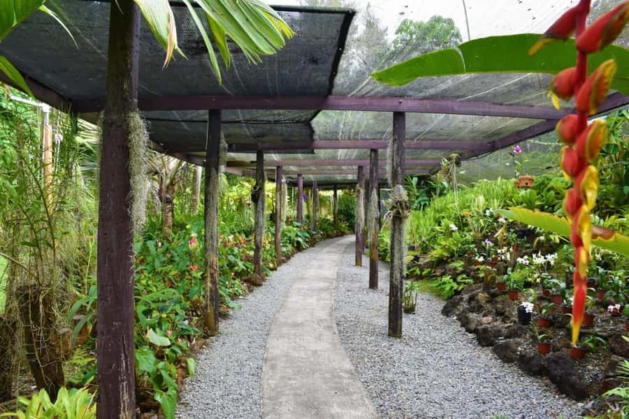 Garden of Sleeping Giant with Tifajek Mudpool Hotspring Tour - From mud wrap to hot spring bath