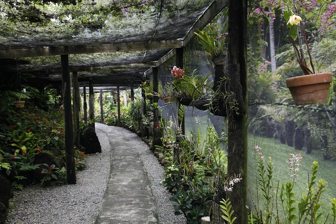 garden of the sleeping giant and mudpool tour combo - Garden of the Sleeping Giant: A Gentle Start or Finish