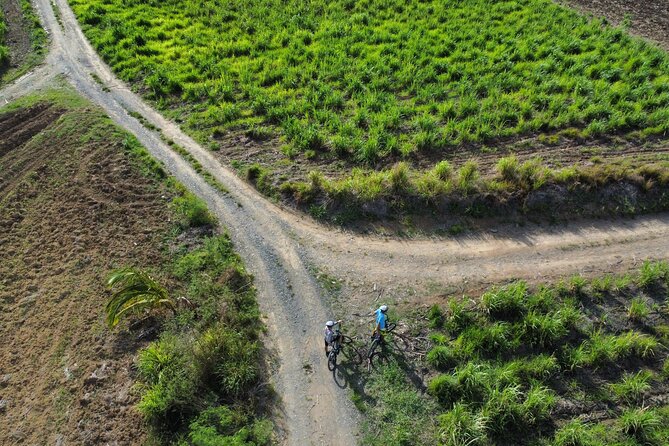 Guided E-bike Tour - A small-group outing for families and active couples