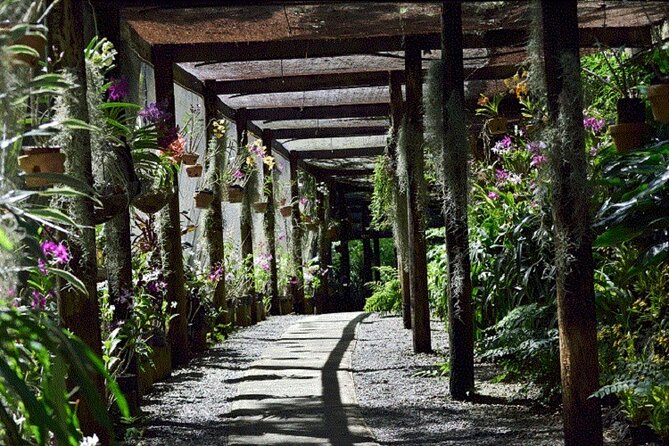 Half Day Mudpools, Veseisei Fijian Village, Gardens of Sleeping Giants &Shopping - How the $88.90 price measures up