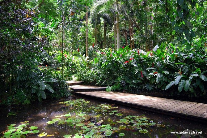 Half Day Nadi Sightseeing & Mud Pool Tour - Key points before you book