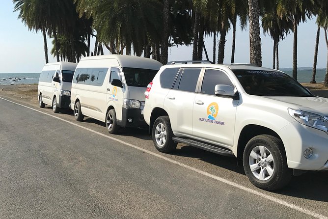 Half Day Nadi Sightseeing & Mud Pool Tour - What the price includes, and what it does not