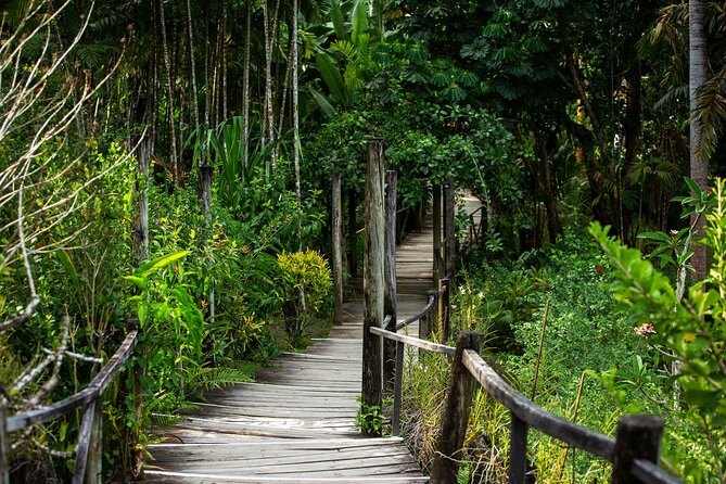 Half Day Nadi Tour incls Sri Siva Temple, Orchid Gardens,Local Village & Markets - Viseisei village and the human side of the tour