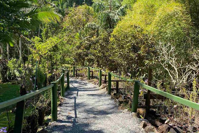 Half Day Nadi Tour Temple, Market, Gardens and Mud Pools - Why this Nadi half-day tour works well
