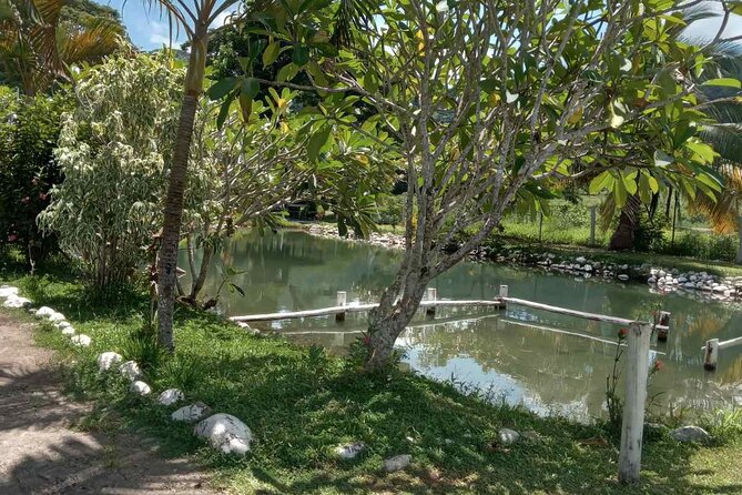 Half Day Nadi Tour Temple, Market, Gardens and Mud Pools - Timing, vehicle, and private-tour value