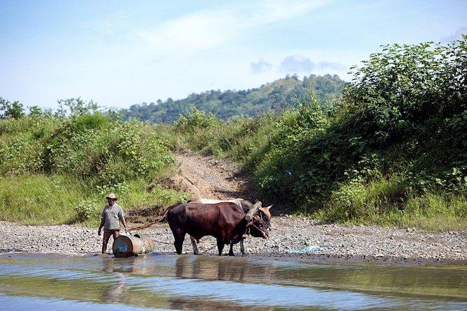 Half Day Sigatoka River Jetboat & Village Tour with Lunch & Transfers - Price and what you get for $163.54