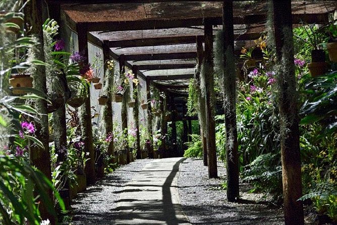 Half Day Sightseeing - Wonders of Nadi Tour - Why this half-day Nadi tour works