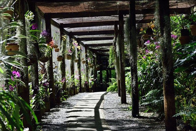 Half Day Tour from Nadi includes Local Markets, Orchid Gardens and Local Village - Shore Excursions - Nadi Produce Market: Fiji on a practical scale