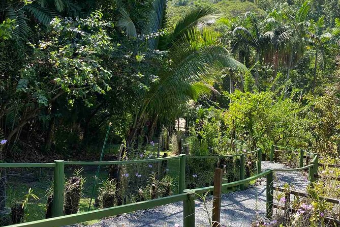 Half Day Tour in Nadi - Key points to know before booking