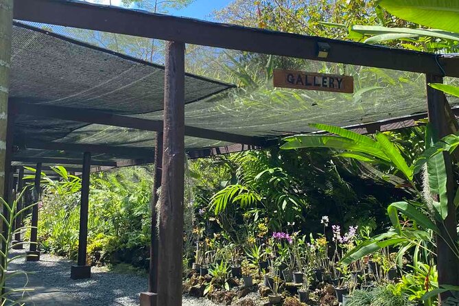 Half Day Tour in Nadi - Why this Nadi morning works so well