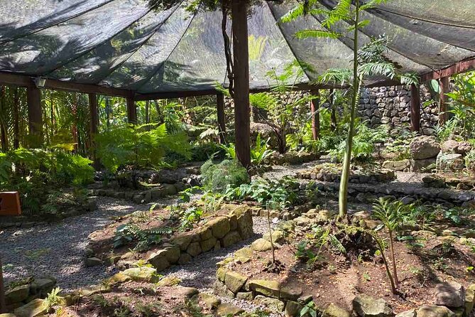 Half Day Tour in Nadi - Walking among orchids at the Garden of the Sleeping Giant