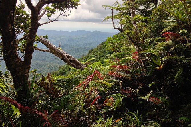 Hiking Adventure including Fiji's Highest Mountain and 3 Nights - Across the Nadrau Plateau to Naga