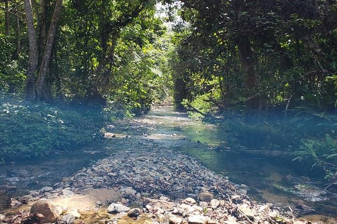 iconic waterfall tour - The waterfall stop: bring the right expectations