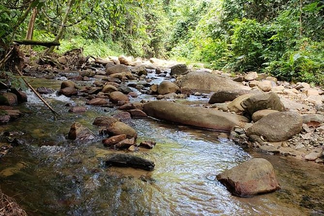 iconic waterfall tour - Sigatoka adds food and shopping time