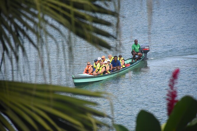 Jewel Of Fiji Day Tour from The Marriot & Shangri-La Resort - From Momi’s resorts to Fiji’s adventure district