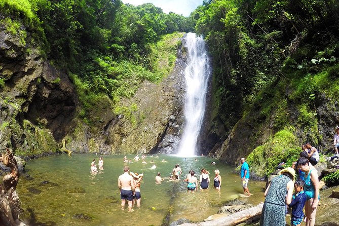 Jewel Of Fiji incl Fijian Village, waterfall & Lunch(Nadi Hotels) - Speeding up the Navua River