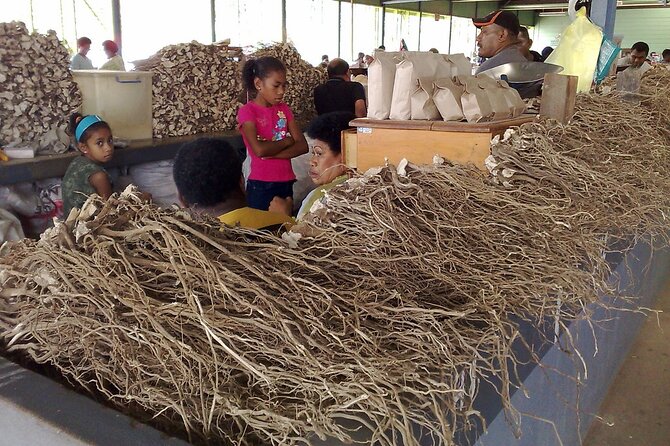 Kava Factory Tour and Flavored Kava Tasting Experience - Key Points Before You Book