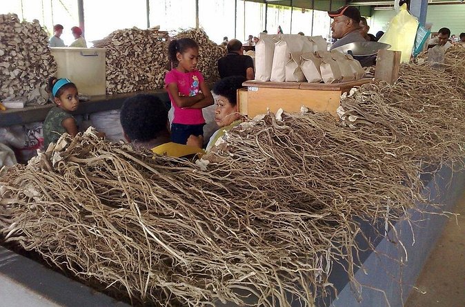 Kava Factory Tour and Flavored Kava Tasting Experience - Comparing Pineapple, Mango, and Chai Kava