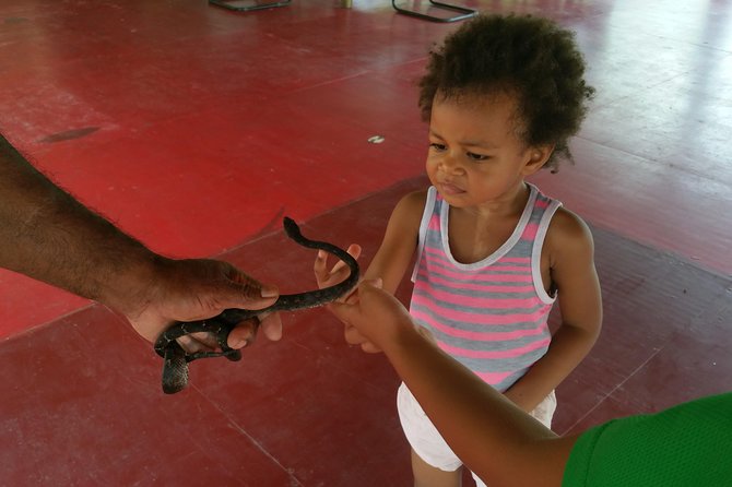 Kiara Package tour - Flora and fauna in a small Fijian setting