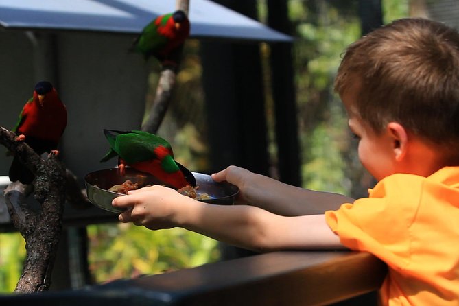 Kids Park Ranger for a Day - Key things to know before booking
