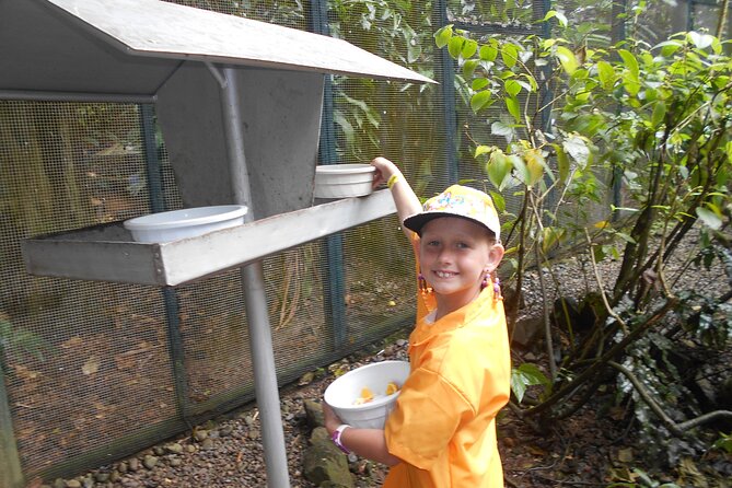 Kids Park Ranger for a Day - Lunch, drinks, and the practical value of $84.66
