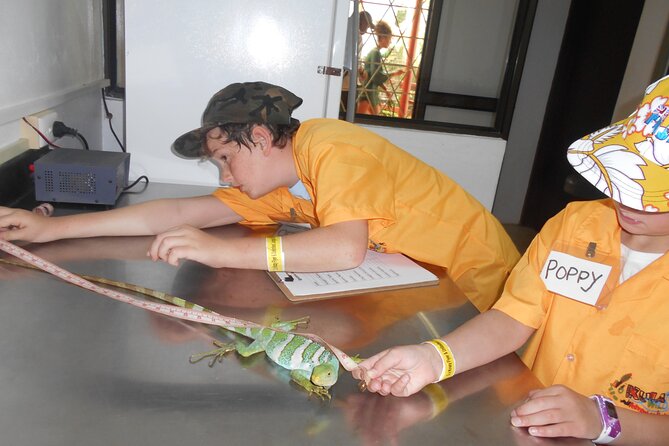 Kids Park Ranger for a Day - What makes the small group useful